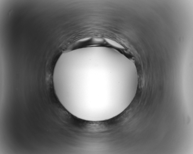 X0000088090521200706081752