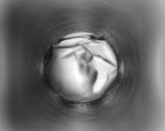 X0000088090524200706081752