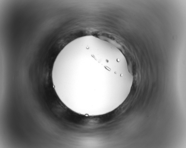 X0000088090525200706081752