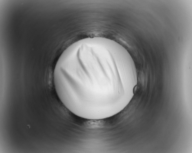 X0000088090526200706081752