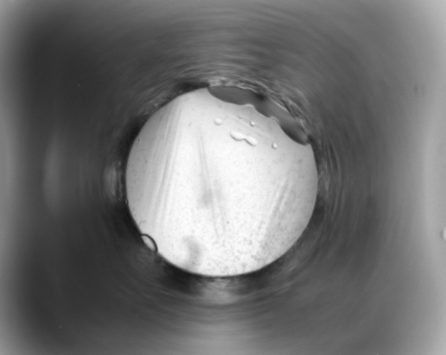 X0000088090527200706081752
