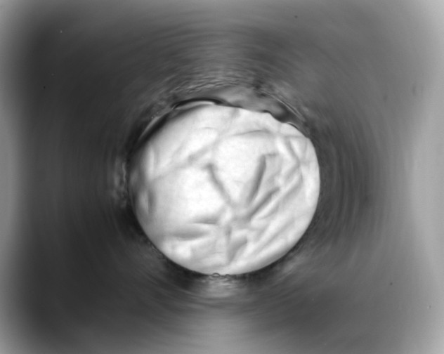 X0000088090528200706081752