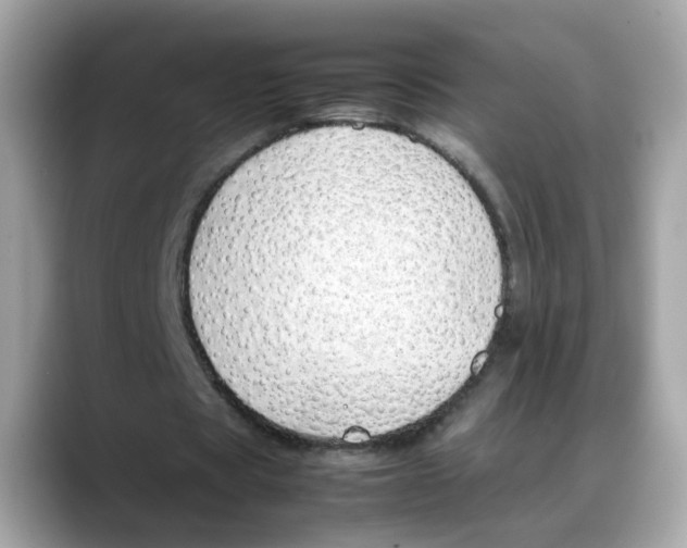 X0000088090529200706081752