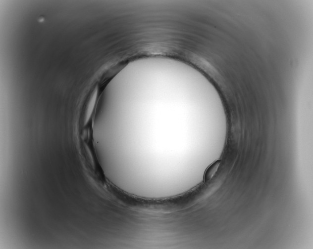 X0000088090530200706081752