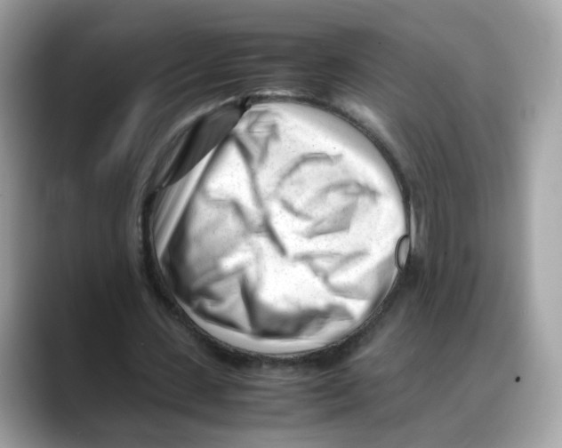 X0000088090531200706081752