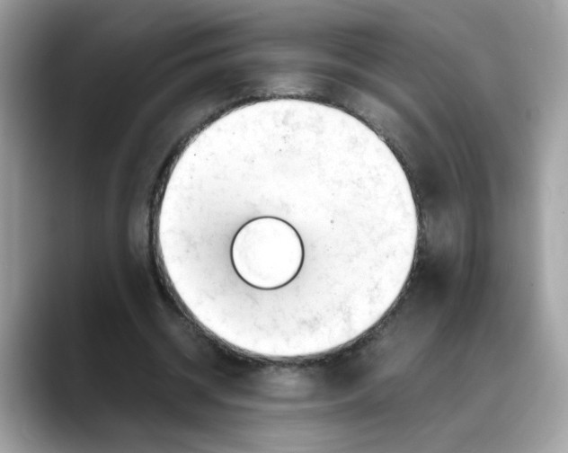 X0000088090534200706081752