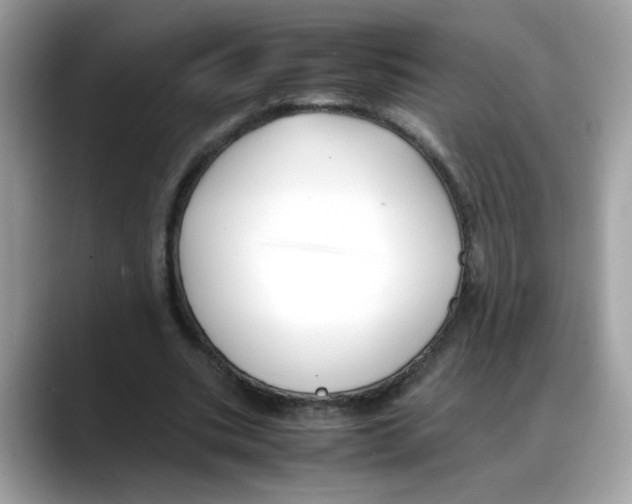 X0000088090535200706081752