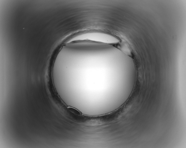 X0000088090536200706081752