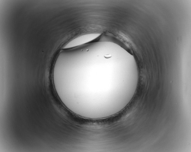 X0000088090538200706081752