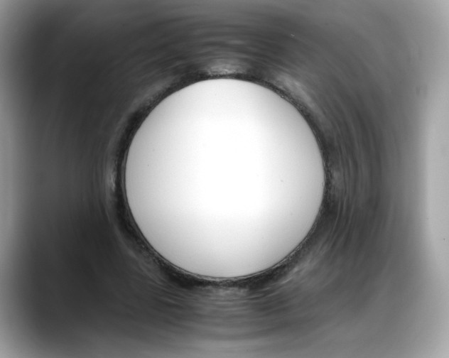 X0000088090539200706081752