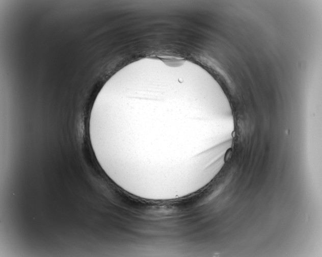X0000088090541200706081752