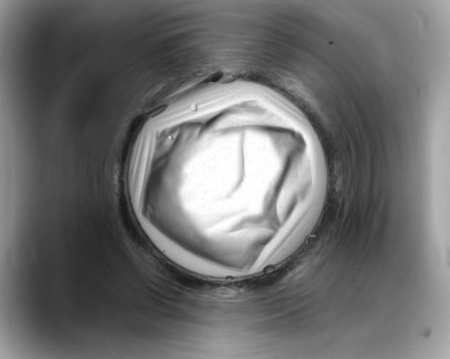 X0000088090542200706081752