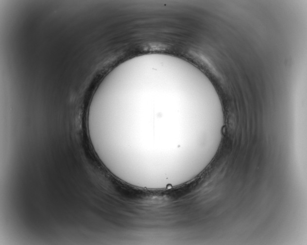 X0000088090543200706081752