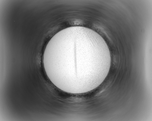 X0000088090545200706081752