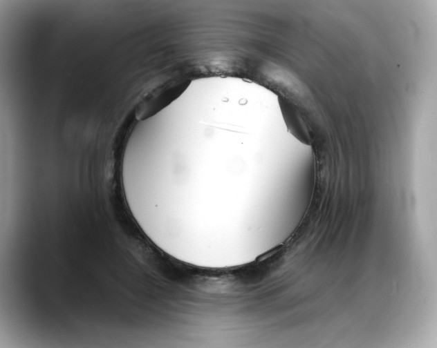 X0000088090548200706081752