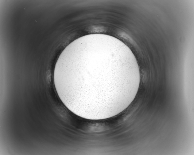 X0000088090549200706081752