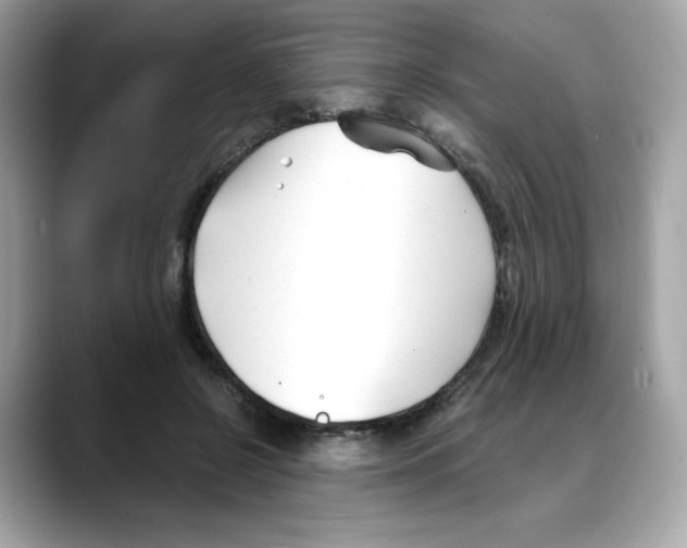 X0000088090550200706081752