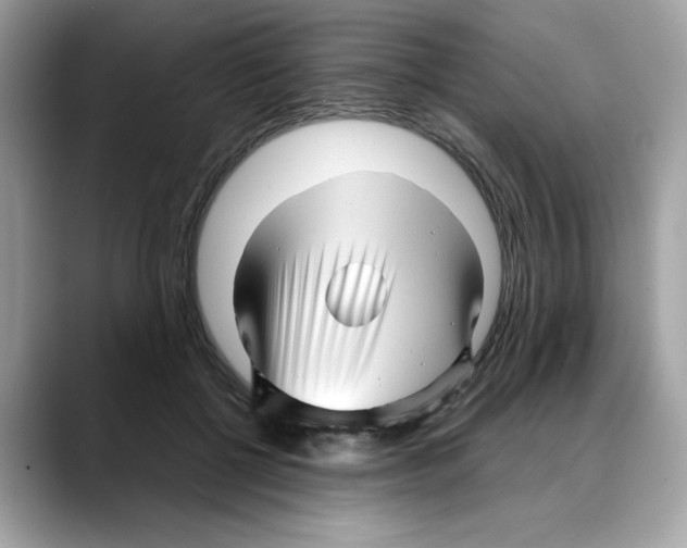 X0000088090552200706081752