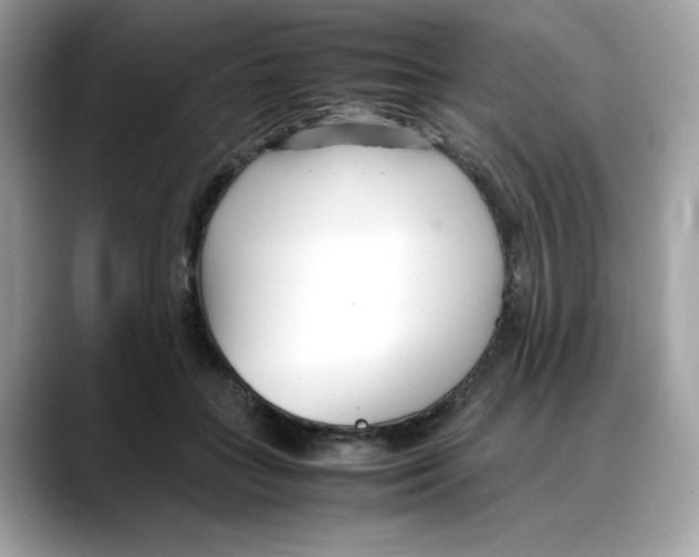 X0000088090555200706081752