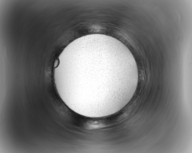 X0000088090557200706081752