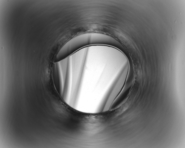 X0000088090558200706081752