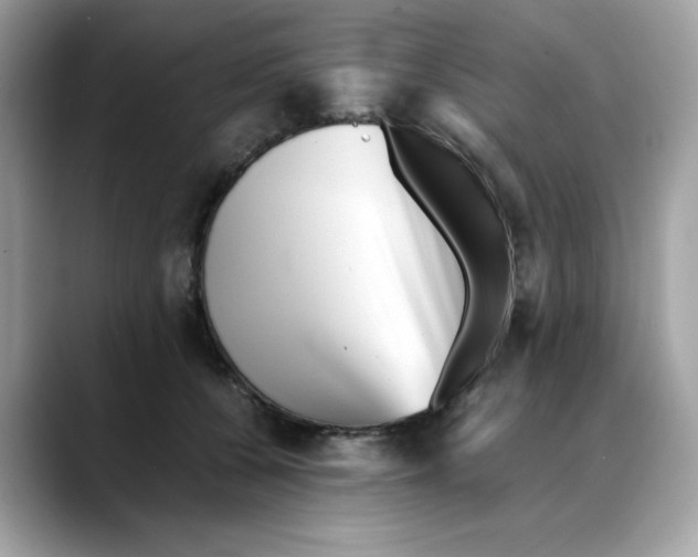 X0000088090560200706081752