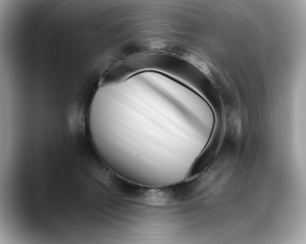 X0000088090562200706081752