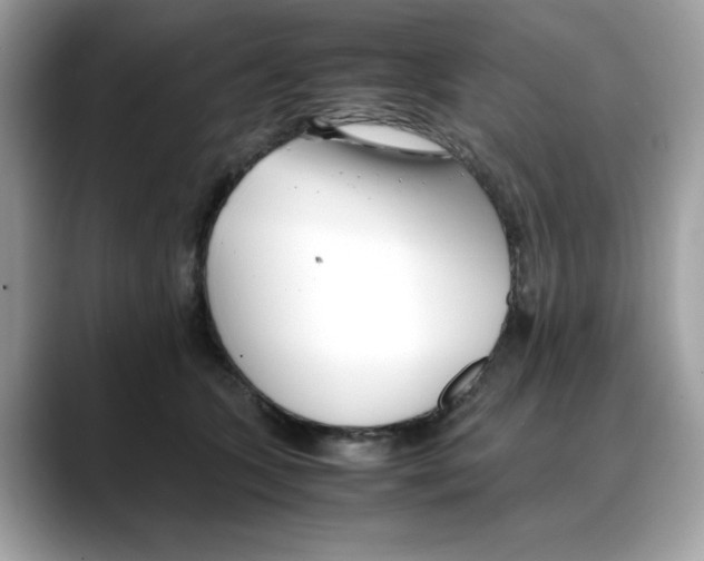 X0000088090563200706081752
