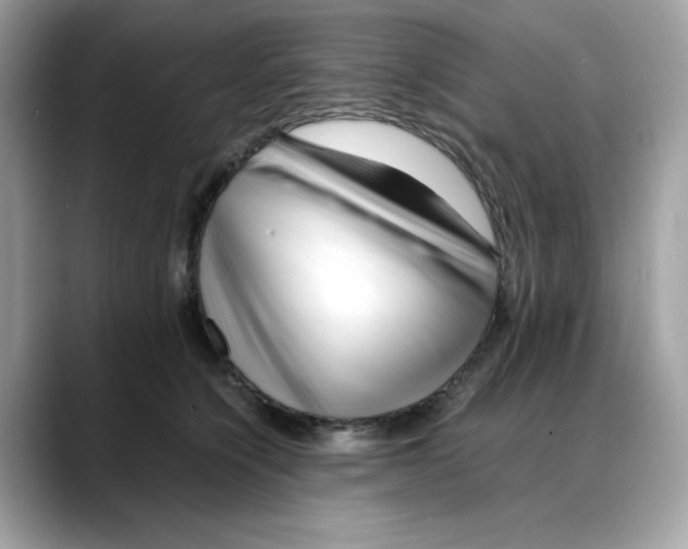 X0000088090564200706081752