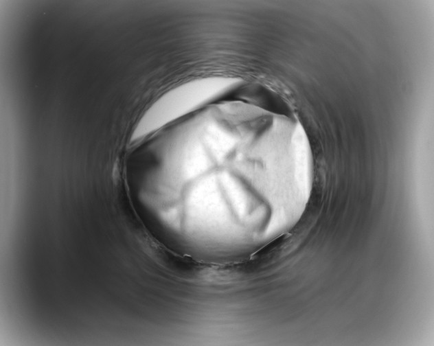 X0000088090568200706081752