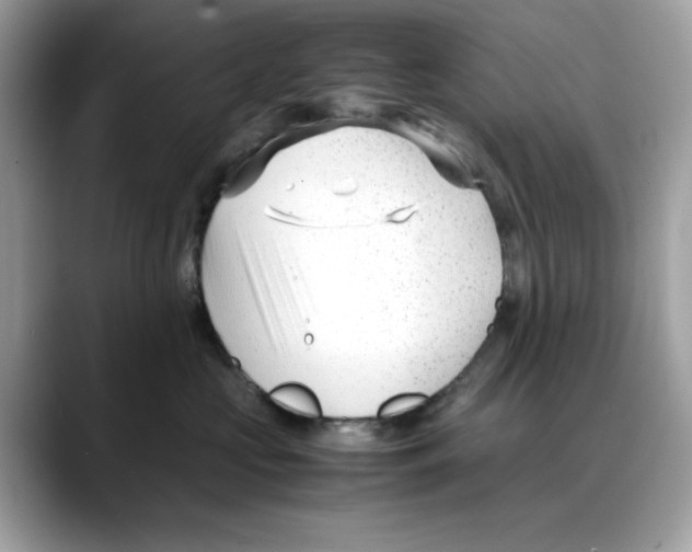 X0000088090573200706081752
