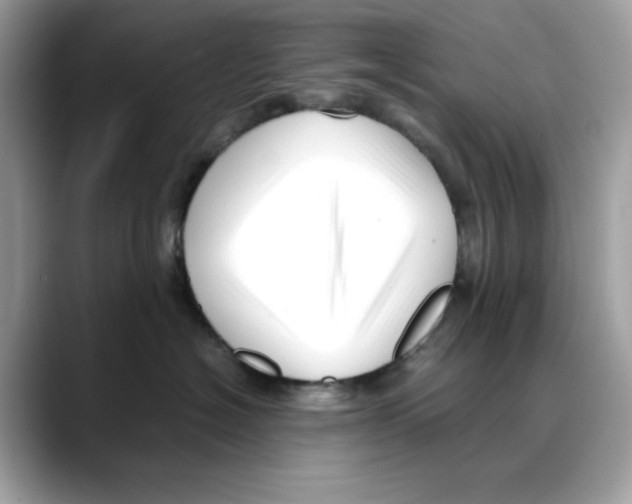 X0000088090574200706081752