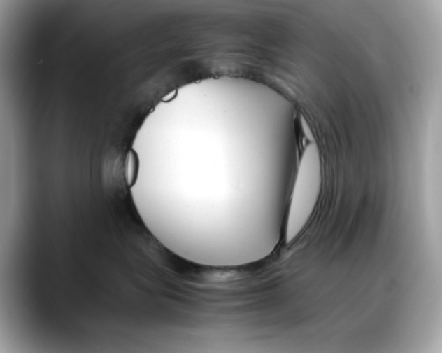 X0000088090575200706081752