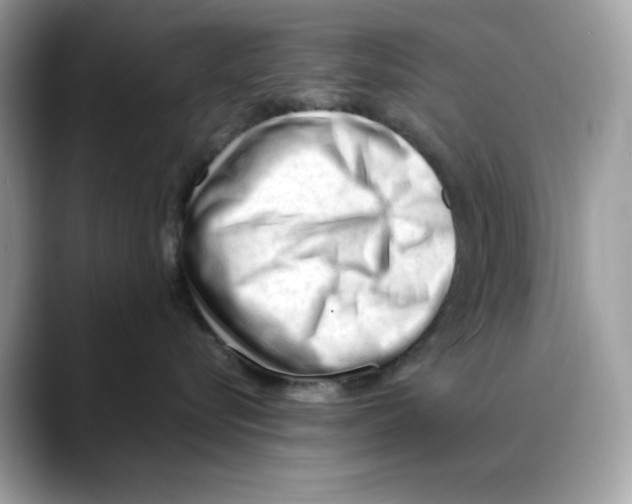 X0000088090576200706081752