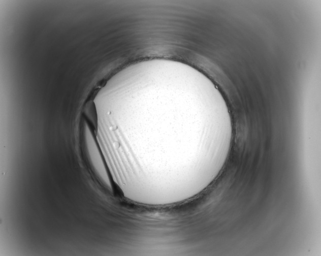 X0000088090578200706081752