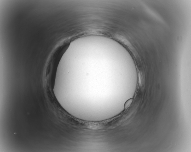 X0000088090579200706081752