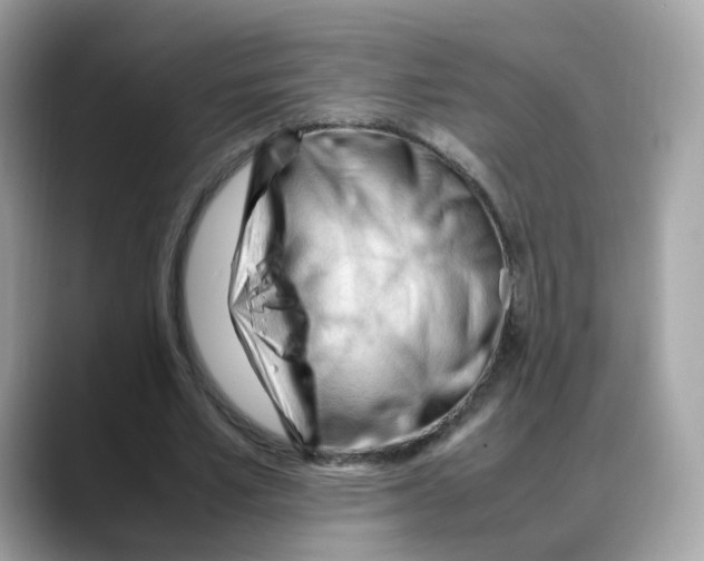 X0000088090581200706081752