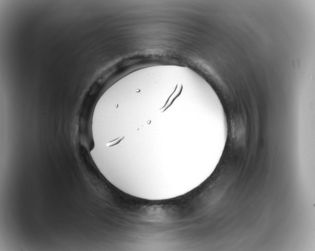 X0000088090588200706081752