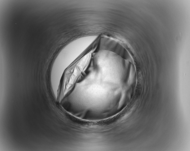 X0000088090589200706081752