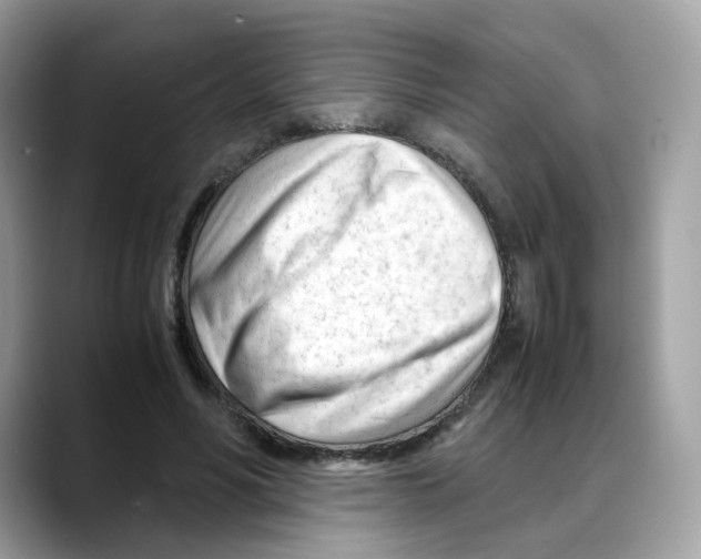 X0000088090590200706081752