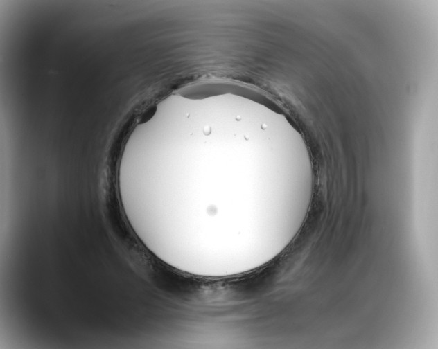 X0000088090591200706081752