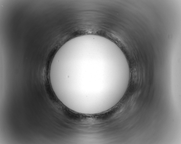 X0000088090594200706081752