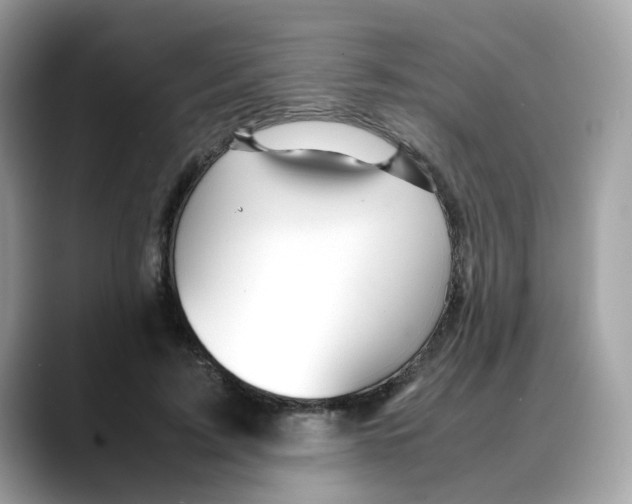 X0000088090595200706081751