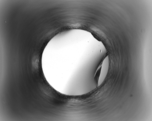 X0000088090596200706081751