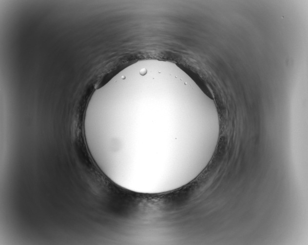 X0000088090599200706081751