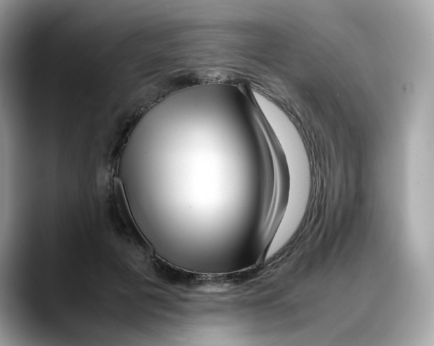 X0000088090601200706081751
