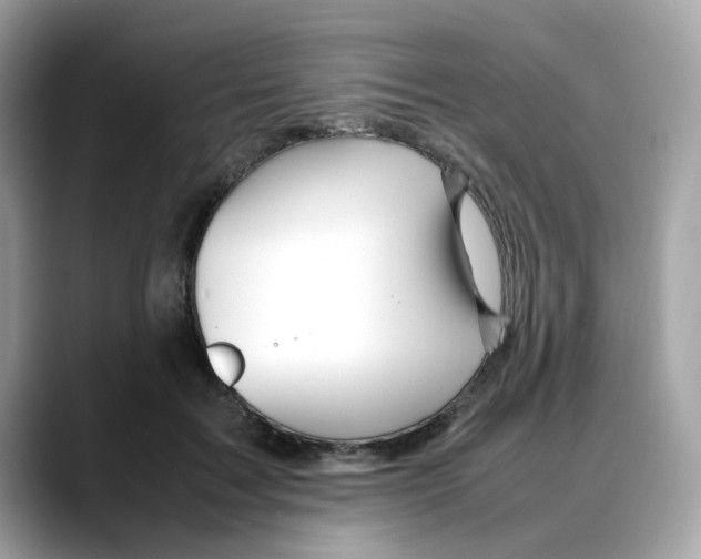 X0000088090603200706081751