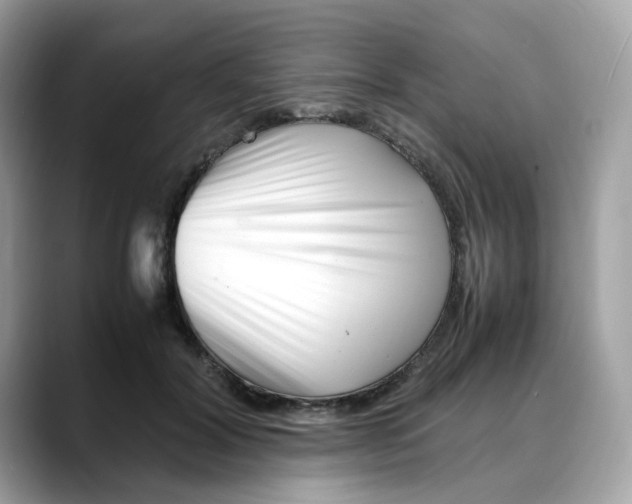 X0000088090604200706081751