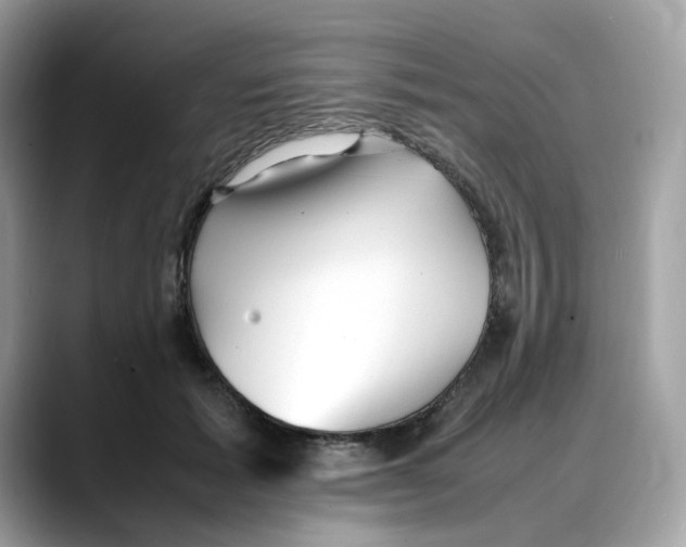 X0000088090605200706081751