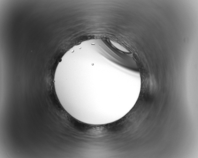 X0000088090609200706081751